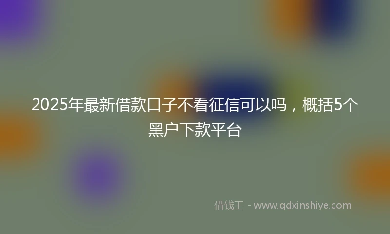 2025年最新借款口子不看征信可以吗，概括5个黑户下款平台