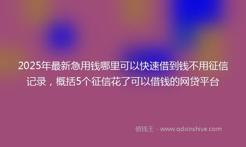 2025年最新急用钱哪里可以快速借到钱不用征信记录，概括5个征信花了可以借钱的网贷平台
