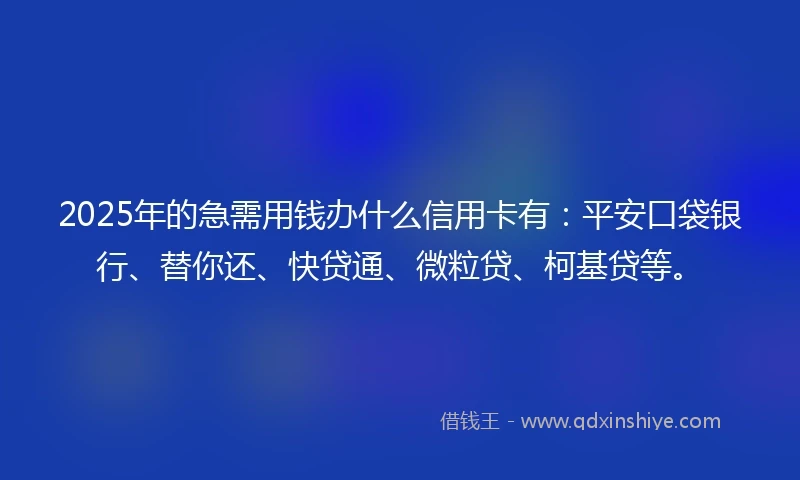 2025年的急需用钱办什么信用卡有：平安口袋银行、替你还、快贷通、微粒贷、柯基贷等。