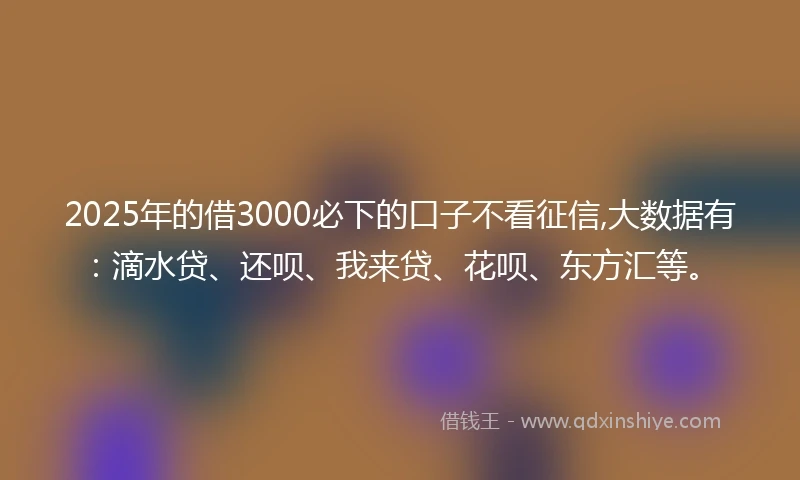 2025年的借3000必下的口子不看征信,大数据有：滴水贷、还呗、我来贷、花呗、东方汇等。