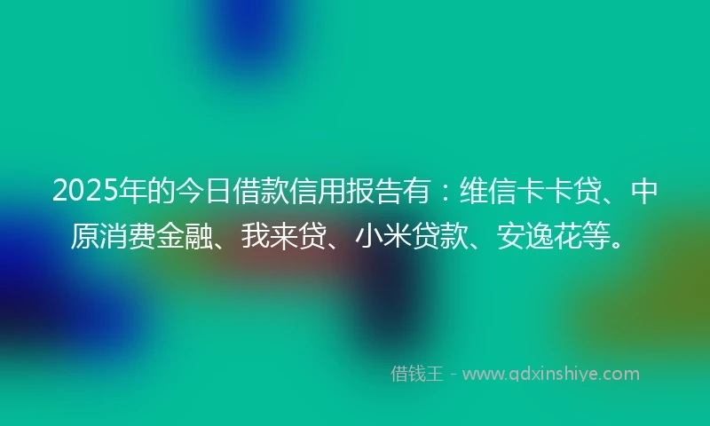 2025年的今日借款信用报告有：维信卡卡贷、中原消费金融、我来贷、小米贷款、安逸花等。