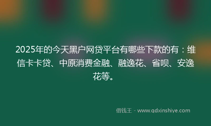 2025年的今天黑户网贷平台有哪些下款的有：维信卡卡贷、中原消费金融、融逸花、省呗、安逸花等。