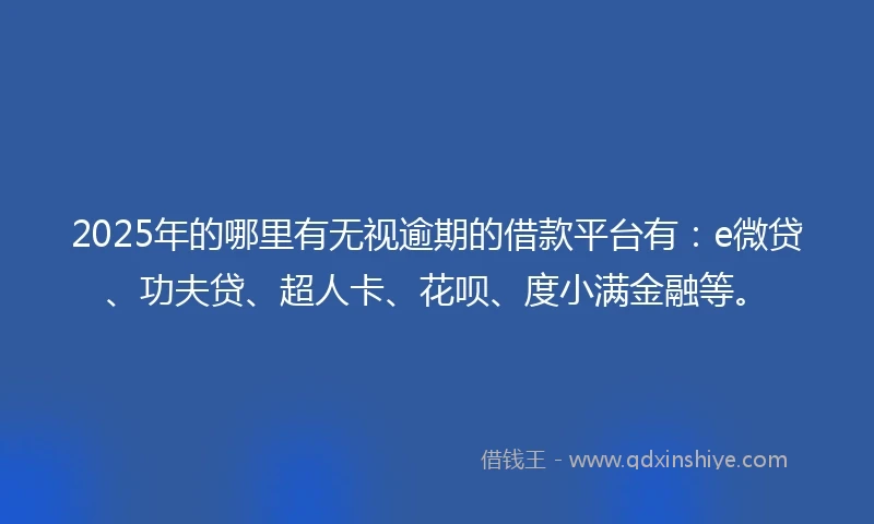 2025年的哪里有无视逾期的借款平台有：e微贷、功夫贷、超人卡、花呗、度小满金融等。