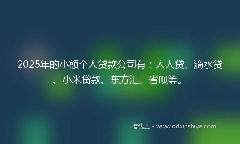 2025年的小额个人贷款公司有：人人贷、滴水贷、小米贷款、东方汇、省呗等。