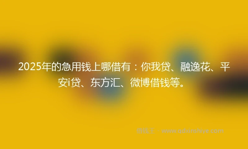 2025年的急用钱上哪借有：你我贷、融逸花、平安i贷、东方汇、微博借钱等。