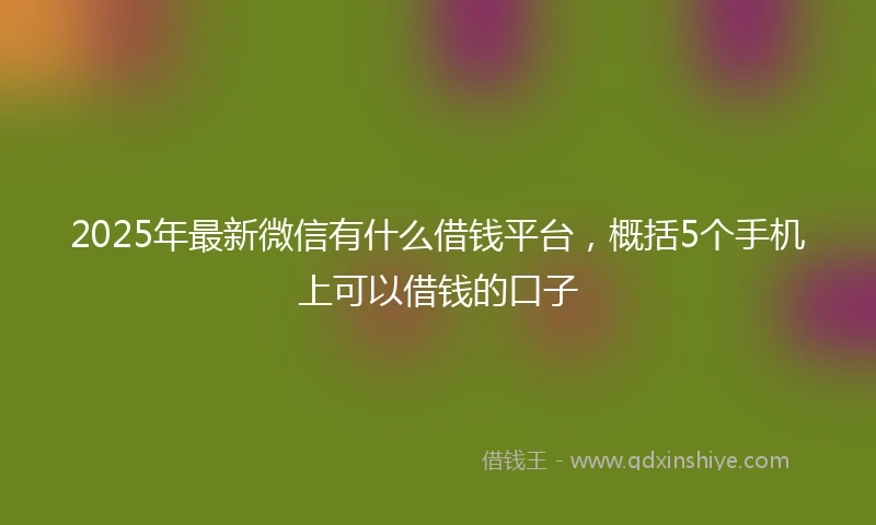 2025年最新微信有什么借钱平台，概括5个手机上可以借钱的口子
