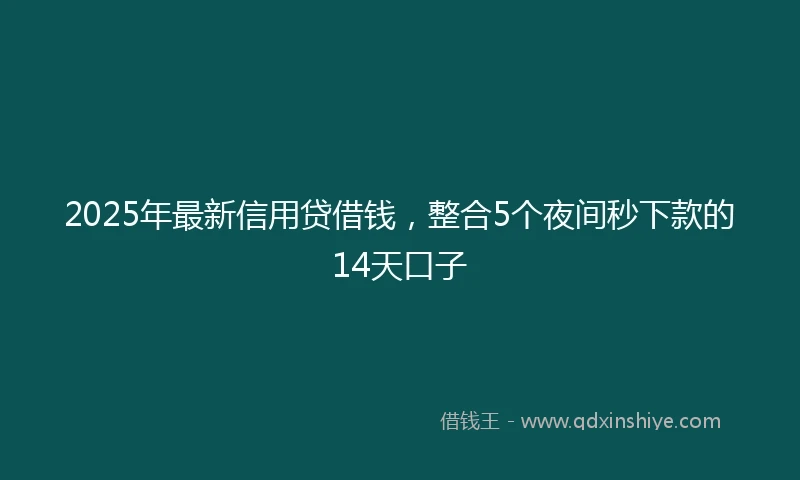 2025年最新信用贷借钱，整合5个夜间秒下款的14天口子