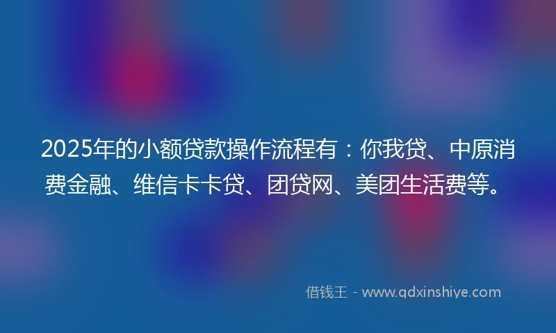 2025年的小额贷款操作流程有：你我贷、中原消费金融、维信卡卡贷、团贷网、美团生活费等。