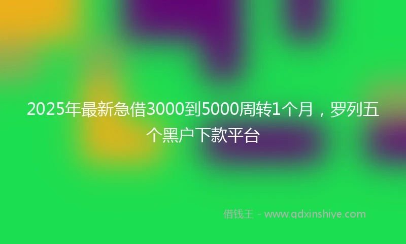 2025年最新急借3000到5000周转1个月，罗列五个黑户下款平台