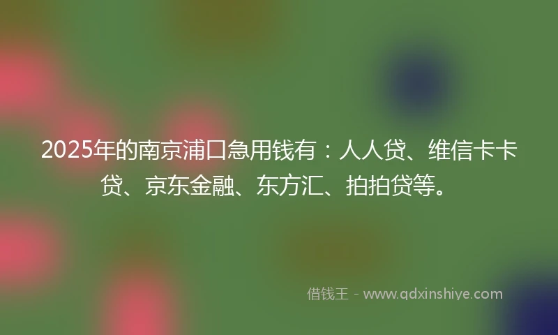 2025年的南京浦口急用钱有：人人贷、维信卡卡贷、京东金融、东方汇、拍拍贷等。