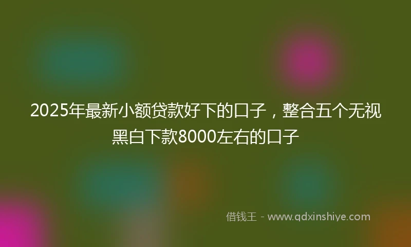 2025年最新小额贷款好下的口子，整合五个无视黑白下款8000左右的口子
