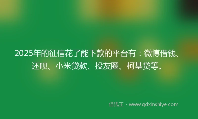 2025年的征信花了能下款的平台有：微博借钱、还呗、小米贷款、投友圈、柯基贷等。