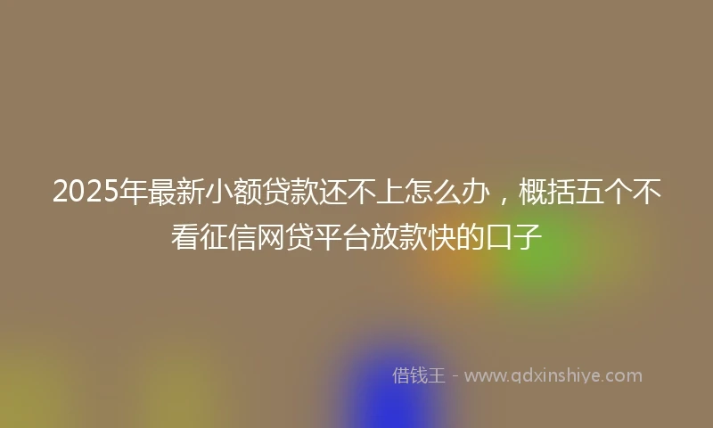 2025年最新小额贷款还不上怎么办，概括五个不看征信网贷平台放款快的口子