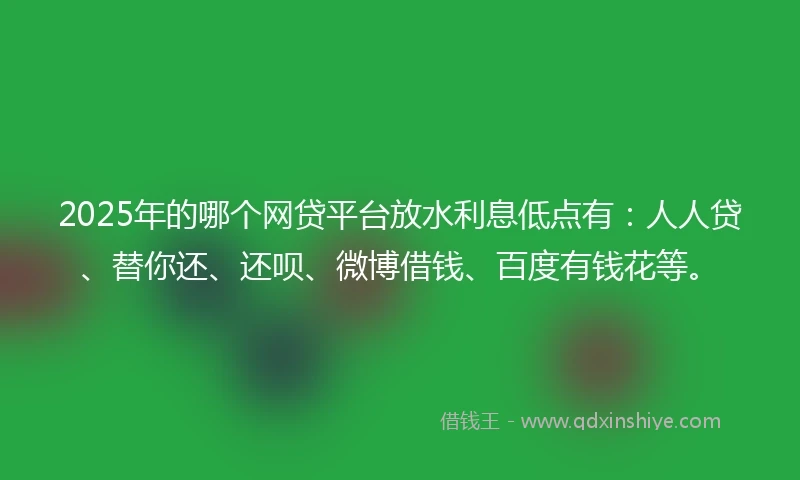 2025年的哪个网贷平台放水利息低点有：人人贷、替你还、还呗、微博借钱、百度有钱花等。