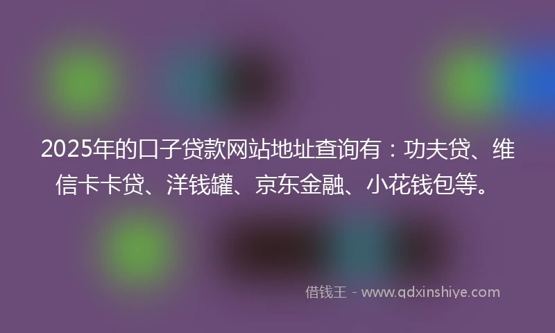 2025年的口子贷款网站地址查询有：功夫贷、维信卡卡贷、洋钱罐、京东金融、小花钱包等。