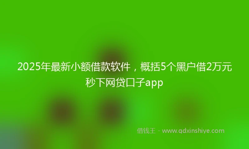 2025年最新小额借款软件，概括5个黑户借2万元秒下网贷口子app
