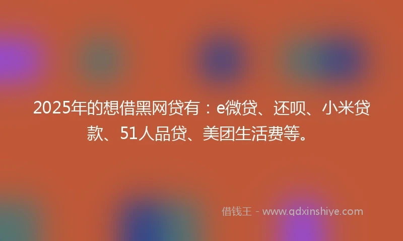 2025年的想借黑网贷有：e微贷、还呗、小米贷款、51人品贷、美团生活费等。