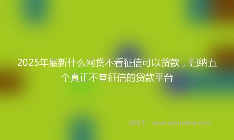 2025年最新什么网贷不看征信可以贷款，归纳五个真正不查征信的贷款平台