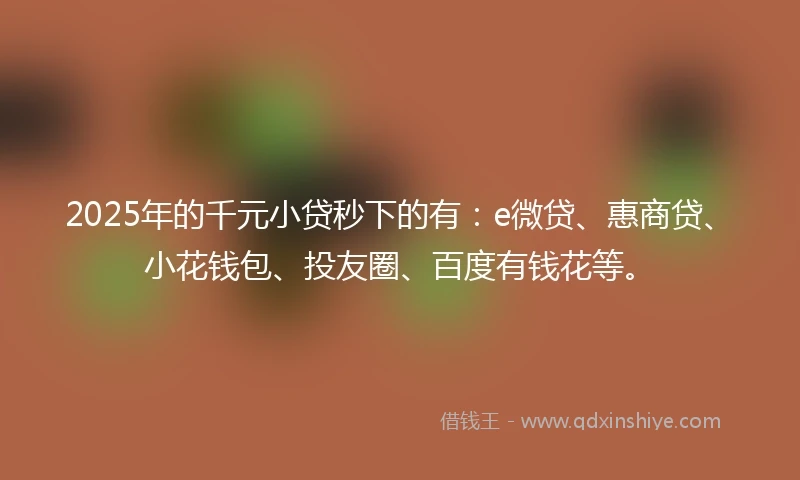 2025年的千元小贷秒下的有：e微贷、惠商贷、小花钱包、投友圈、百度有钱花等。