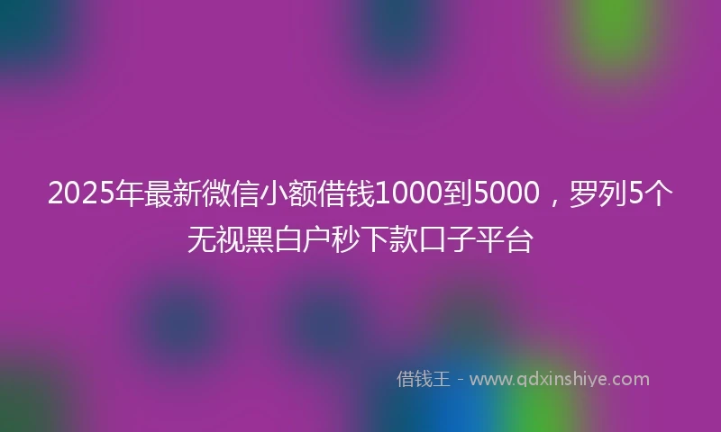 2025年最新微信小额借钱1000到5000，罗列5个无视黑白户秒下款口子平台