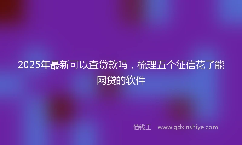 2025年最新可以查贷款吗，梳理五个征信花了能网贷的软件