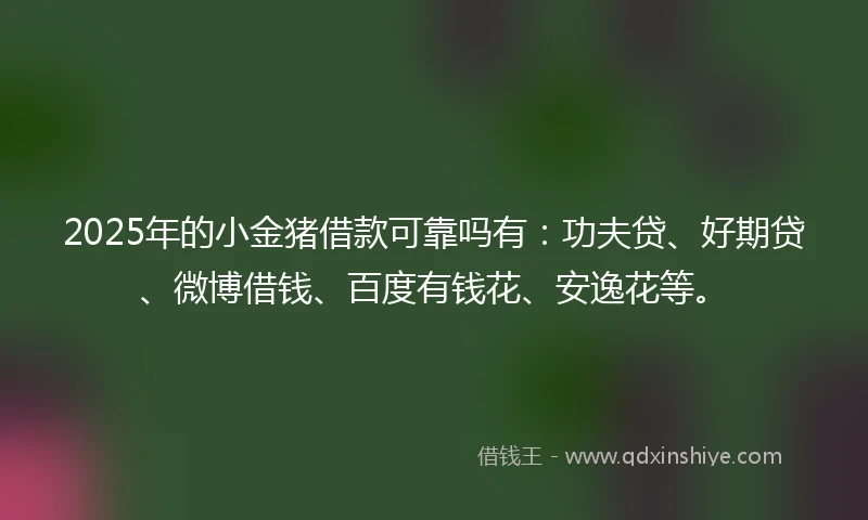2025年的小金猪借款可靠吗有：功夫贷、好期贷、微博借钱、百度有钱花、安逸花等。