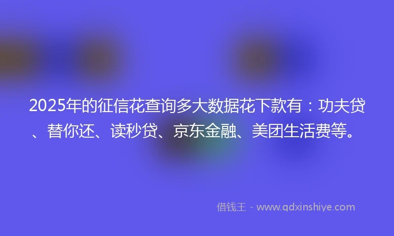 2025年的征信花查询多大数据花下款有：功夫贷、替你还、读秒贷、京东金融、美团生活费等。
