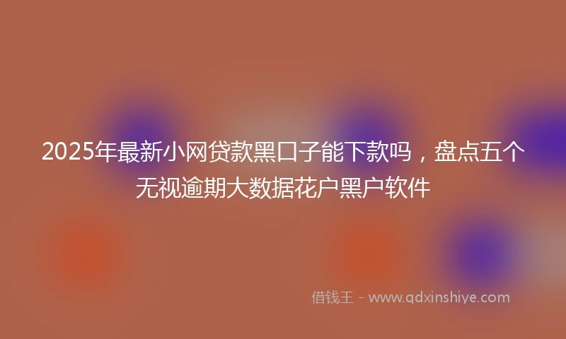 2025年最新小网贷款黑口子能下款吗，盘点五个无视逾期大数据花户黑户软件