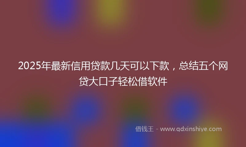 2025年最新信用贷款几天可以下款，总结五个网贷大口子轻松借软件