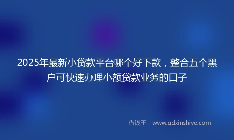 2025年最新小贷款平台哪个好下款，整合五个黑户可快速办理小额贷款业务的口子