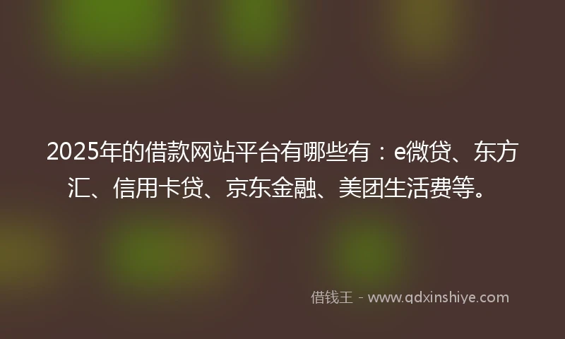 2025年的借款网站平台有哪些有：e微贷、东方汇、信用卡贷、京东金融、美团生活费等。