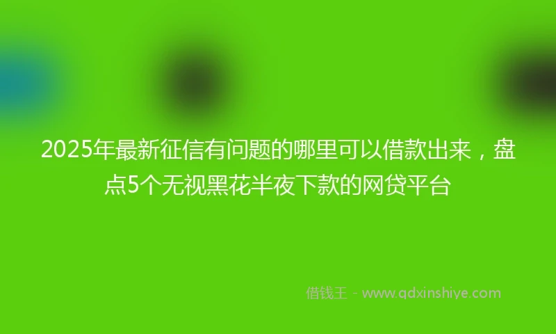2025年最新征信有问题的哪里可以借款出来，盘点5个无视黑花半夜下款的网贷平台