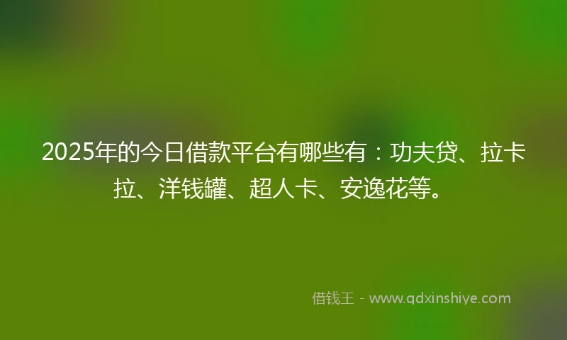 2025年的今日借款平台有哪些有：功夫贷、拉卡拉、洋钱罐、超人卡、安逸花等。