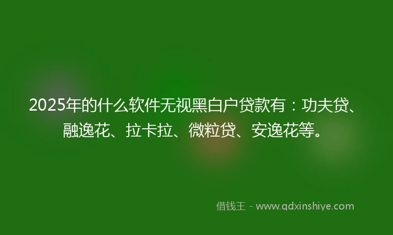 2025年的什么软件无视黑白户贷款有：功夫贷、融逸花、拉卡拉、微粒贷、安逸花等。