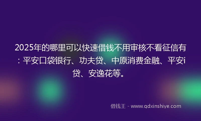 2025年的哪里可以快速借钱不用审核不看征信有：平安口袋银行、功夫贷、中原消费金融、平安i贷、安逸花等。