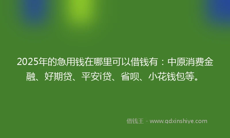 2025年的急用钱在哪里可以借钱有：中原消费金融、好期贷、平安i贷、省呗、小花钱包等。