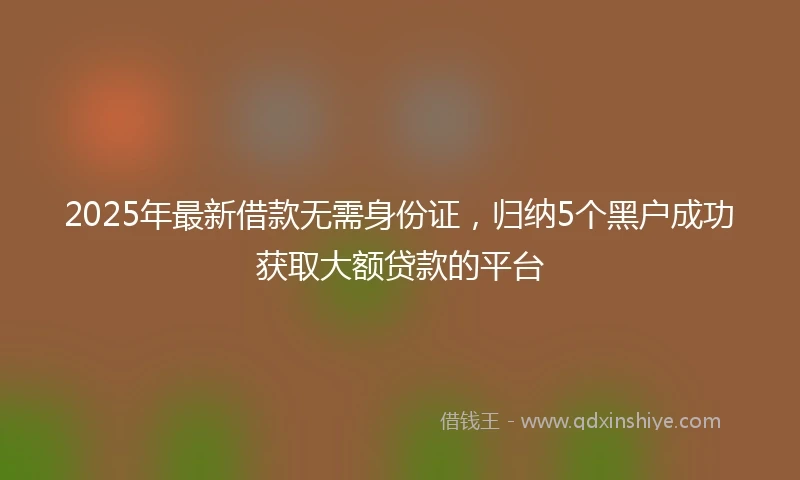 2025年最新借款无需身份证，归纳5个黑户成功获取大额贷款的平台