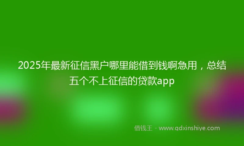 2025年最新征信黑户哪里能借到钱啊急用，总结五个不上征信的贷款app
