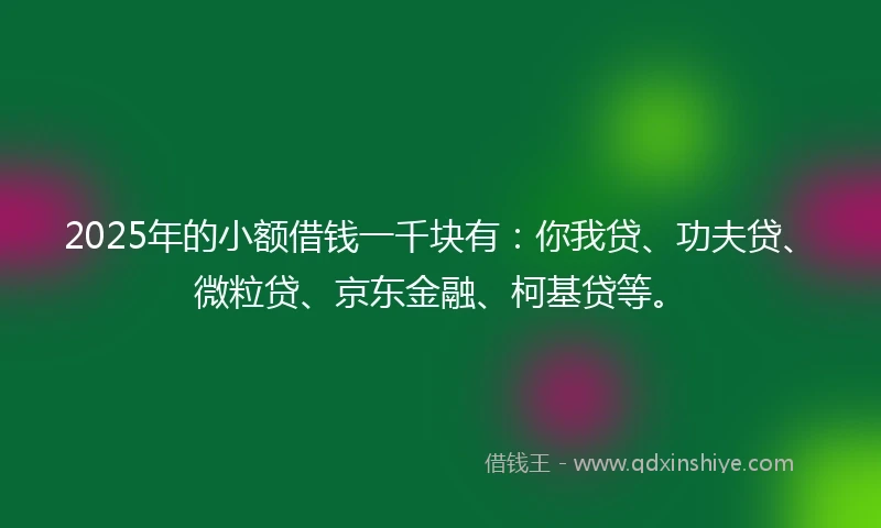 2025年的小额借钱一千块有：你我贷、功夫贷、微粒贷、京东金融、柯基贷等。