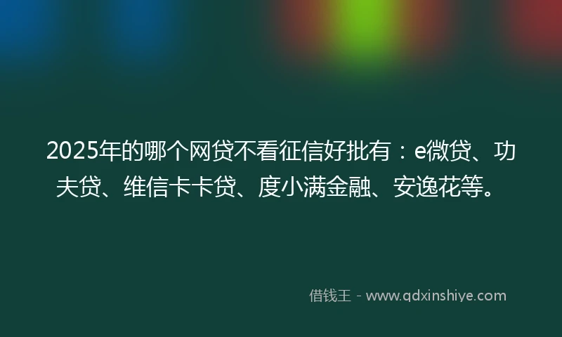 2025年的哪个网贷不看征信好批有：e微贷、功夫贷、维信卡卡贷、度小满金融、安逸花等。