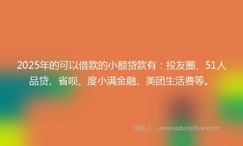 2025年的可以借款的小额贷款有：投友圈、51人品贷、省呗、度小满金融、美团生活费等。