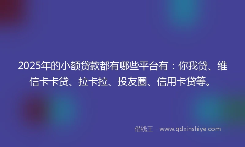 2025年的小额贷款都有哪些平台有：你我贷、维信卡卡贷、拉卡拉、投友圈、信用卡贷等。