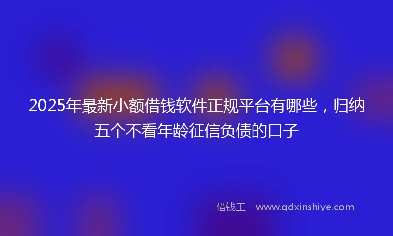2025年最新小额借钱软件正规平台有哪些，归纳五个不看年龄征信负债的口子