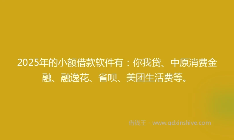 2025年的小额借款软件有：你我贷、中原消费金融、融逸花、省呗、美团生活费等。