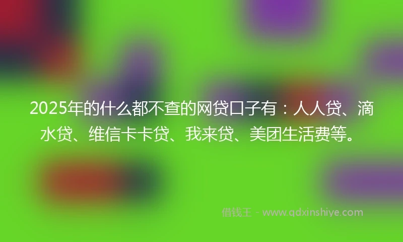 2025年的什么都不查的网贷口子有：人人贷、滴水贷、维信卡卡贷、我来贷、美团生活费等。