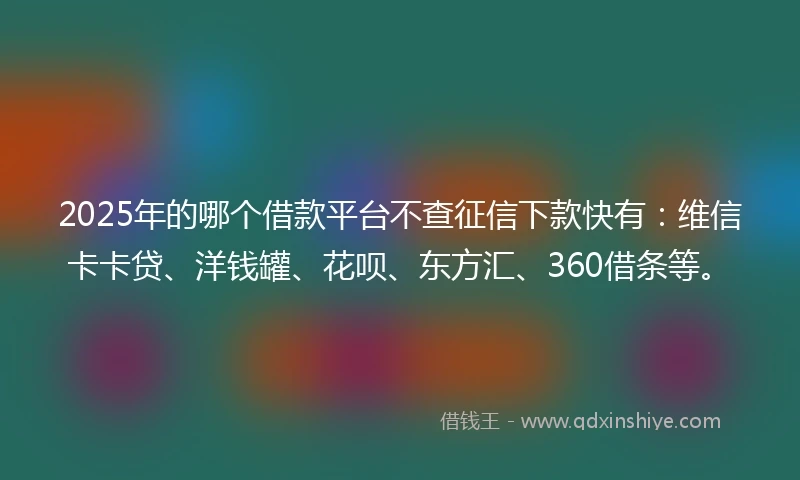2025年的哪个借款平台不查征信下款快有：维信卡卡贷、洋钱罐、花呗、东方汇、360借条等。