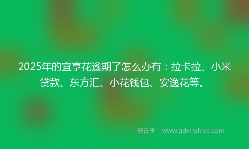 2025年的宜享花逾期了怎么办有：拉卡拉、小米贷款、东方汇、小花钱包、安逸花等。