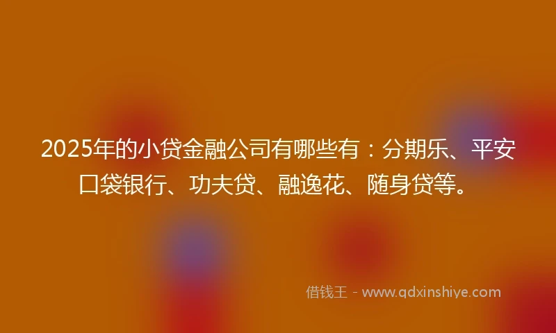 2025年的小贷金融公司有哪些有：分期乐、平安口袋银行、功夫贷、融逸花、随身贷等。