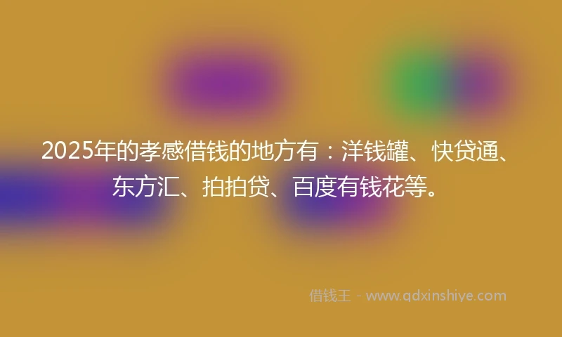 2025年的孝感借钱的地方有：洋钱罐、快贷通、东方汇、拍拍贷、百度有钱花等。