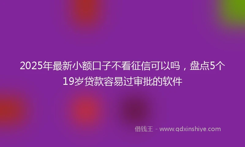2025年最新小额口子不看征信可以吗，盘点5个19岁贷款容易过审批的软件